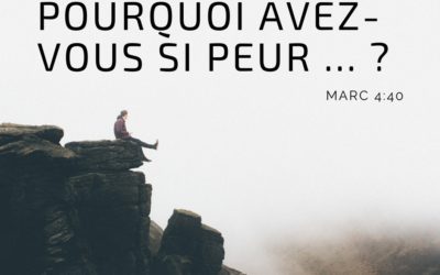 Pourquoi avez-vous si peur ?